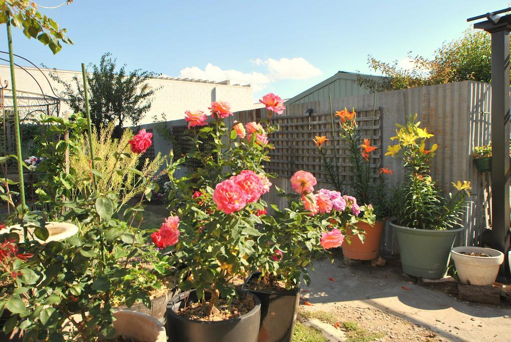 Cooma Cottage Dış mekan fotoğraf